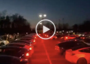 Tesla light show naatu naatu