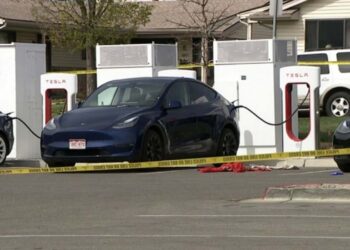 Tesla charging station owner opens fire