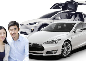Tesla model x model s china