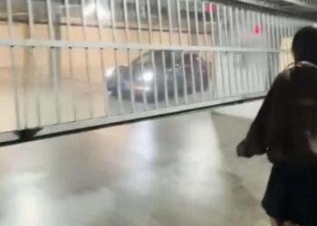 Tesla model 3 closed parking smart summon