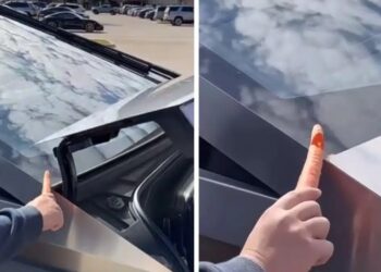 Tesla Cybertruck Carrot Test